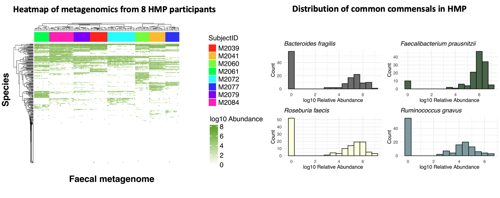 Challenges interpreting differences in human microbiome data